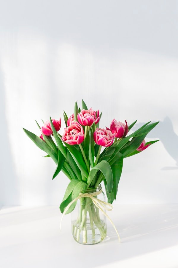 Pivoine